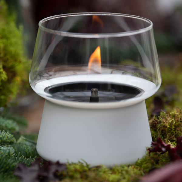 Slider TF-0440017-Amaryllis-14-White 2-medium.jpg